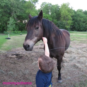 Blake petting pony