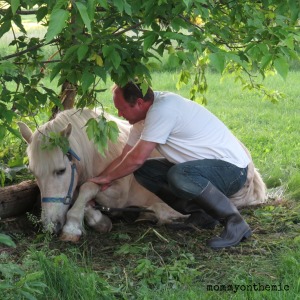 Jeff helping pony